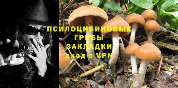 трава Сатка